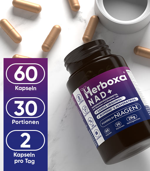 Herboxa NAD+¹